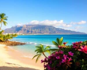 Strände und Natur in Waikiki, Hawaii