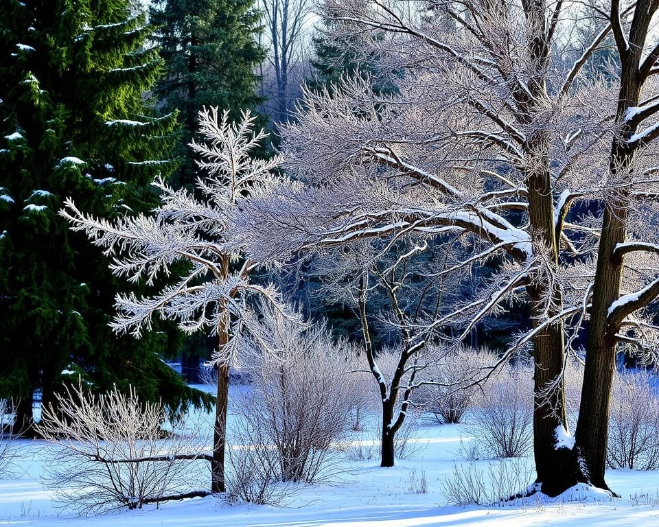 winterharte Bäume