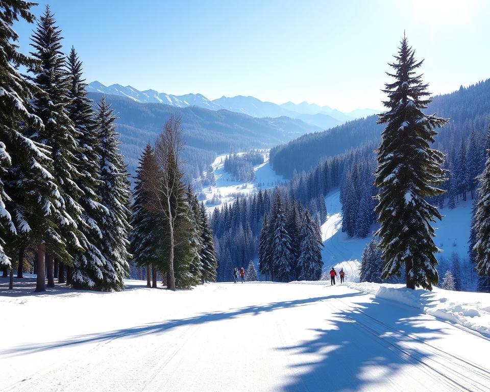 Langlaufen Winter Tirol