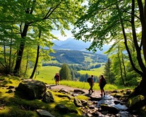 Geheimtipps im Sauerland: Natur, Abenteuer & Genuss