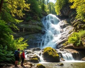 Triberg: Welche Wasserfälle darfst du nicht verpassen?