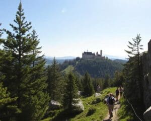 Wernigerode: Welche Harz-Wanderungen sind ein Highlight?