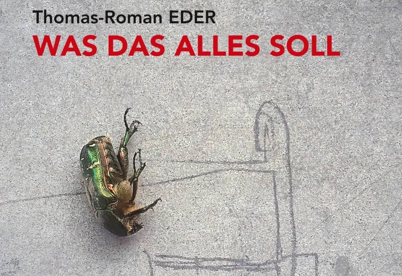 Was das alles soll Thomas Romaneder