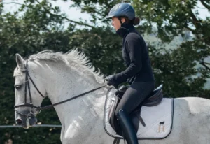 Warum ist Beritt für Dressurpferde professionell entscheidend?